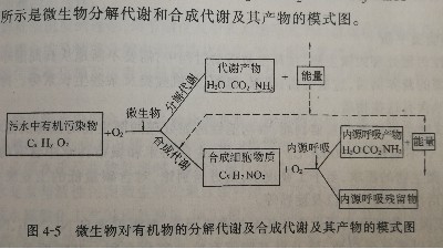 活性污泥法處理工業廢水的機理